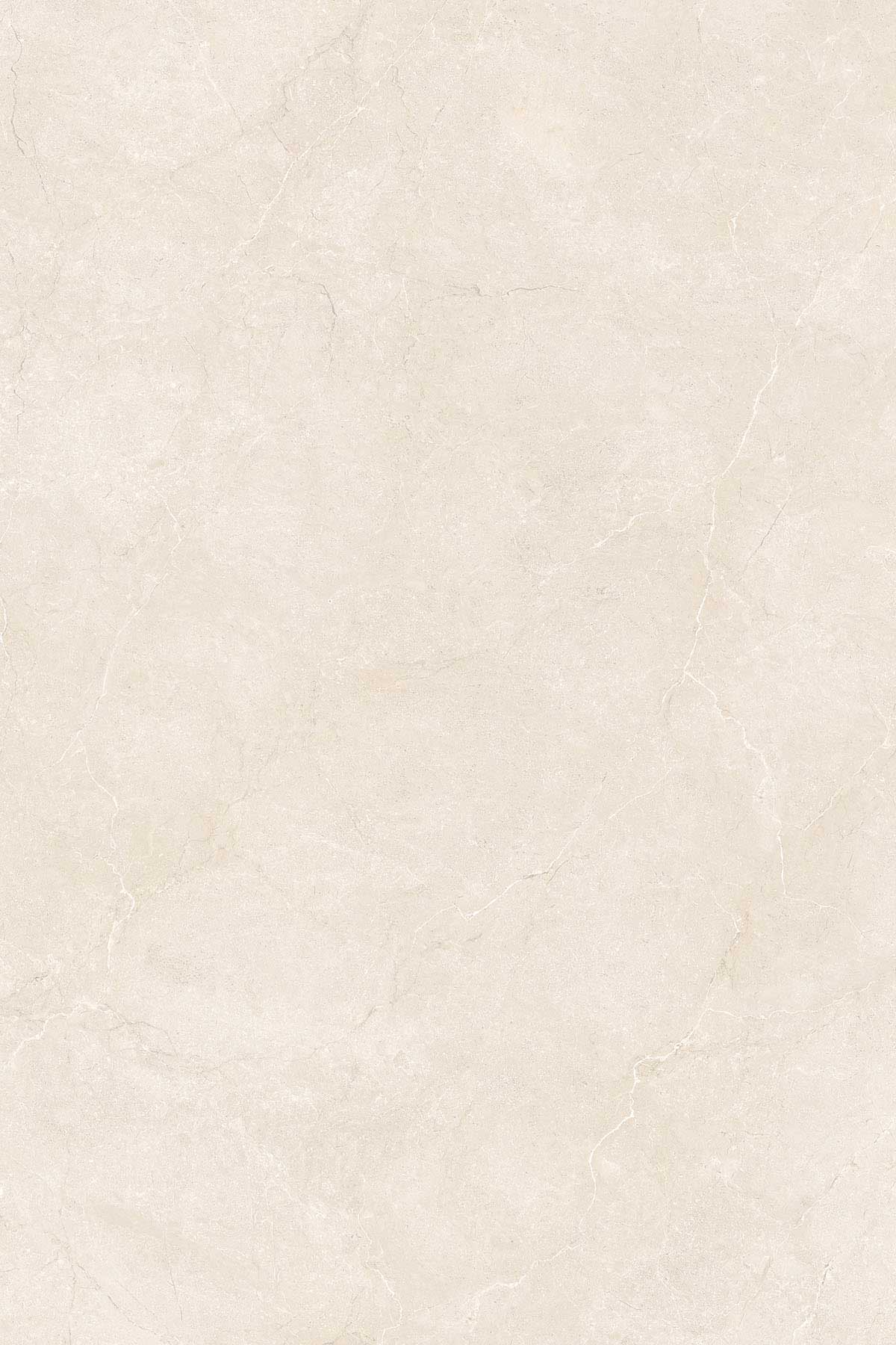 Find Tile By Size 1200x1800mm Simpolo Tiles and Bathware
